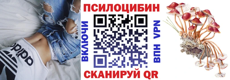 Купить закладки  Бузулук  Псилоцибиновые грибы GOLDEN TEACHER 